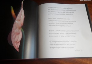 imagem_5