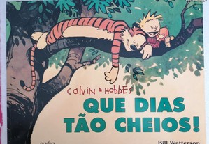 Que dias tão cheios - Calvin & Hobbes