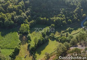 Terreno Rústico Com Nascente Em Seramil