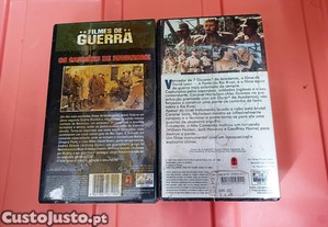 imagem_6