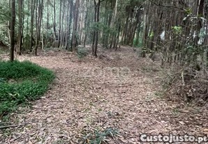 Terreno Com 6.650 M² Em Gondomar Potencial 8...