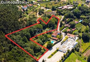 Terreno Em Gondar E Orbacem - Caminha