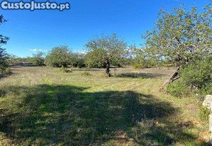 Terreno Agrícola em São Brás de Alportel de 7100,00 m²