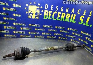 imagem_1