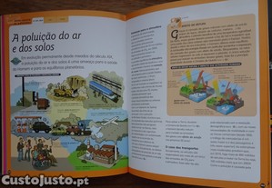 imagem_7