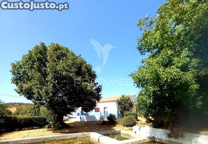 imagem_34