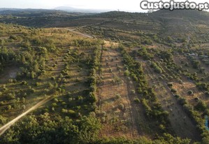 Terreno em Chãos de 8160,00 m²