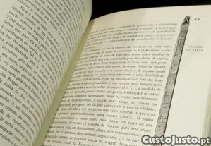 imagem_6