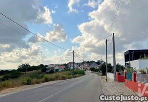 imagem_7