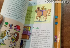 imagem_6