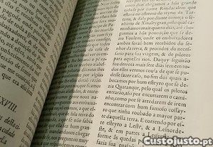 imagem_7