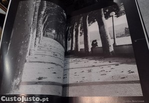 imagem_10