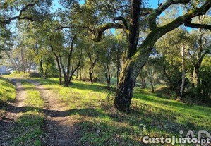 Terreno para construção em Poiares