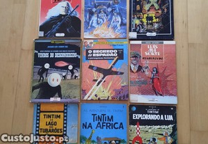 imagem_8