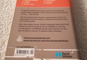 imagem_2