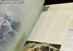 imagem_7