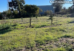 Terreno Agrícola em Poceirão e Marateca