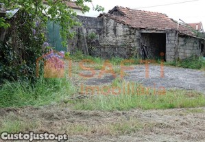 imagem_1