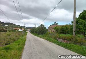 imagem_3