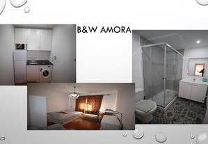 imagem_8