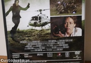 imagem_7