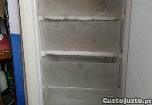Arca congeladora vertical