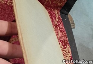 imagem_8