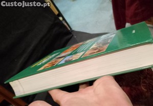 imagem_14