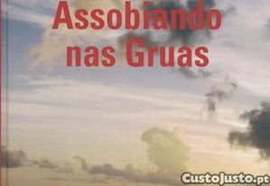imagem_1