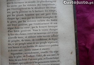 imagem_8