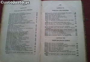 imagem_6