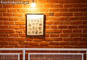 imagem_29