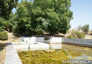 imagem_38