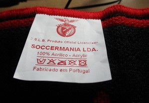 imagem_3