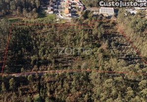 Terreno Rustico Com 22500 M2, Em Argoncilhe,...
