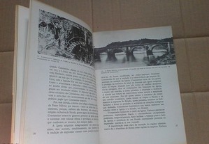 imagem_6