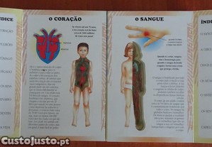 imagem_7