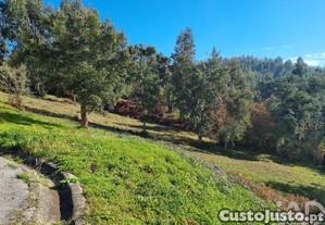 imagem_7