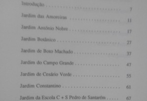 imagem_7