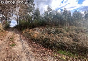 Terreno Rustico Em Fonte Arcada E Oliveira...