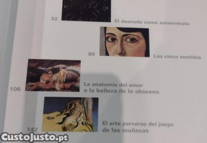 imagem_13