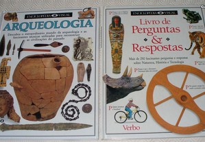 Enciclopedia Visual 2 livros - Verbo