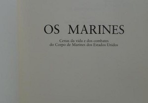 imagem_2