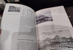 imagem_10