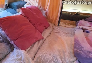 imagem_10