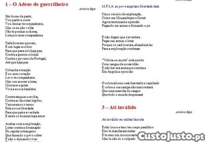 imagem_7