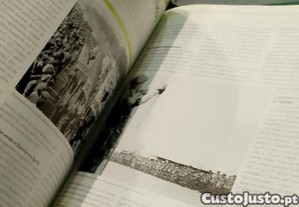 imagem_3