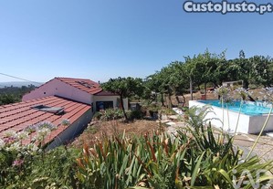 imagem_31