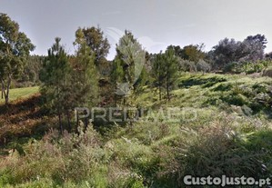 Terreno na fonte fria