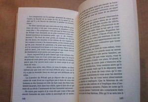 imagem_8